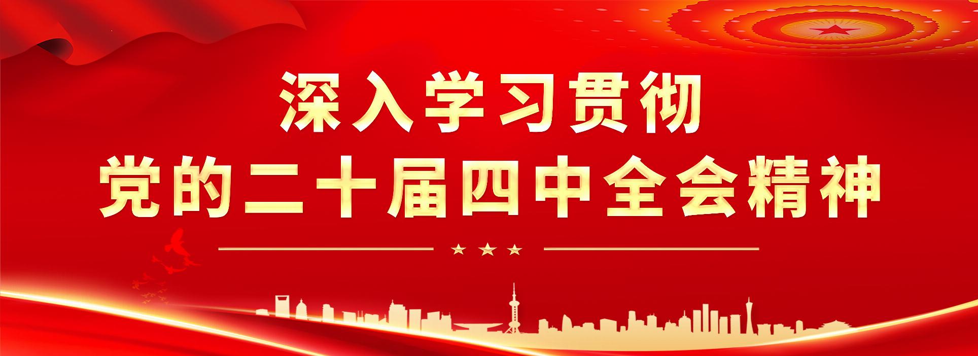 二十大精神